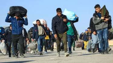 afghans.jpg