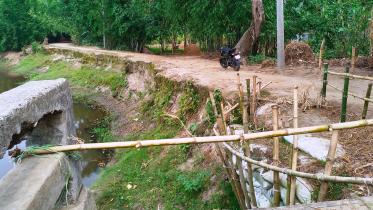 bangladesh-india-border.jpg