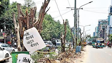 tree plantation policy in Bangladesh