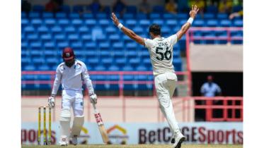 starc_.jpg