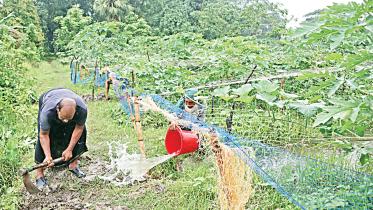 vegetable-growers.jpg