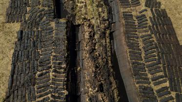 peat_bogs.jpg
