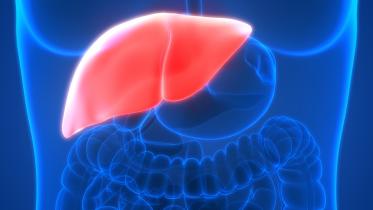 liver_cancer.jpg