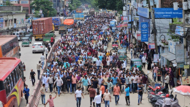 mirsharai-bnp.jpg