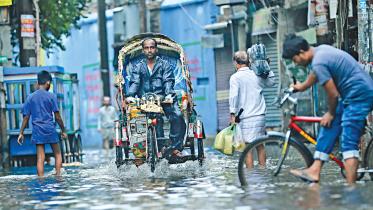 waterlogging.jpg