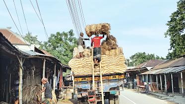 jute.jpg