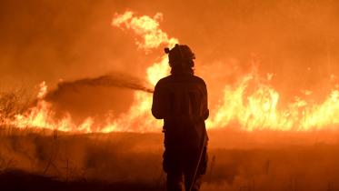 wildfire.jpg
