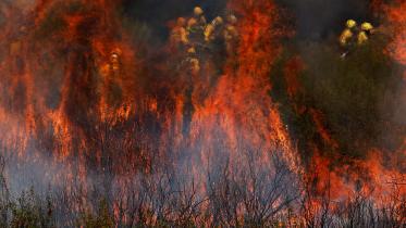 wildfire_2.jpg