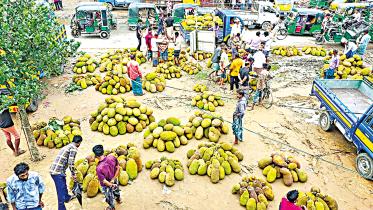 jackfruit.jpg