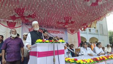 tangail_picture.jpg
