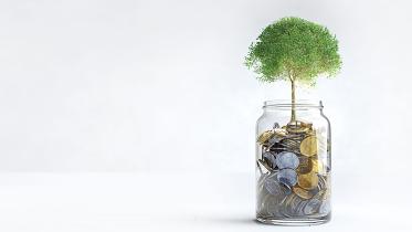 tree-grows.jpg