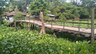 barguna-1.jpg