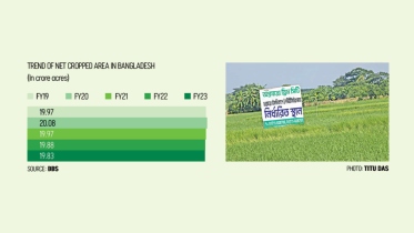 Trend of Net Cropped Area in Bangladesh