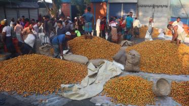 farmers-in-pirojpur-1.jpg