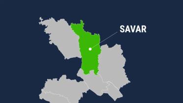 savar.jpg