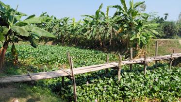 ea38rangpur_river03_09112025_931f_dil.jpg