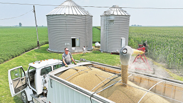 china-soybean-glut.jpg