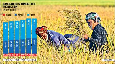 rice production in Bangladesh FY25