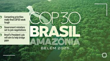 cop30logo.jpg