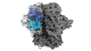hiv_antibody