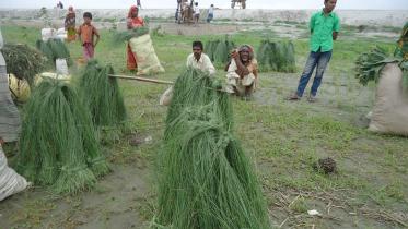 jamuna-river.jpg