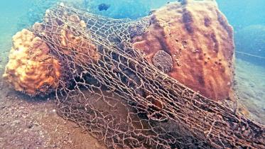 our-reef-at-risk.jpg