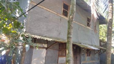 hadi_home.jpg