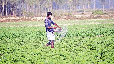 agri.jpg