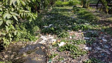 rangpur.jpg