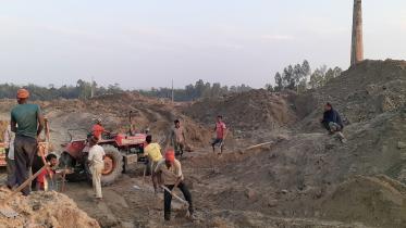 bricks-rampant-in-rangpur-1.jpg