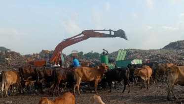 mymensingh_waste_management.jpg