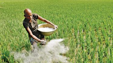 fertiliser import in bangladesh
