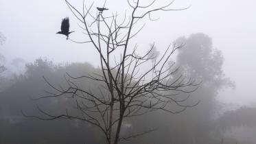 Cold wave.jpg