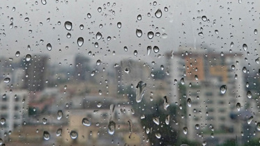 winter drizzle.jpg