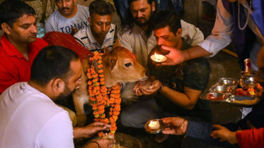 Valentines day of Cow day.jpg