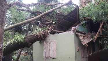 storm-pirojpur