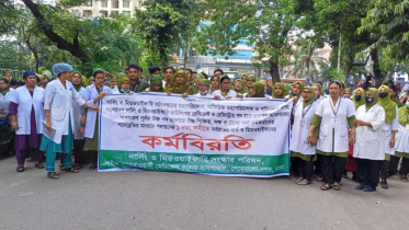 Nurses  midwifes