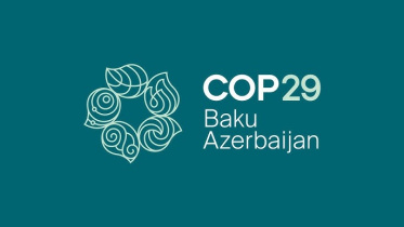 COP29-UN.jpg