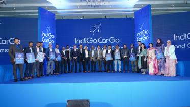 indigo-cargo.jpg