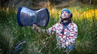 Ireland birds sound.jpg