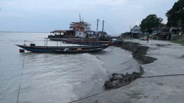 Pabna-1_8e85.jpg