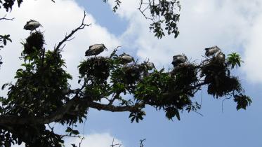 biodiversity4.jpg