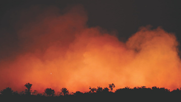 Amazon fire