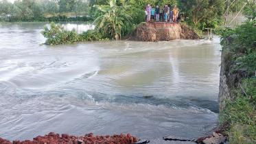flood_17.jpg