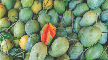 fruits4.jpg