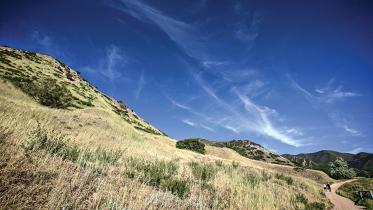 translucent-1.jpg