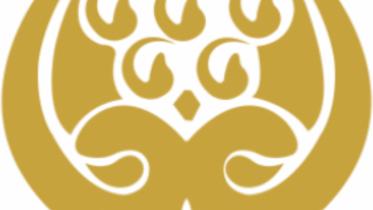 saarc-logo-22.jpg