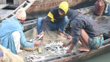barishal-jatka-1.jpg