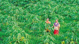 khushi-chakma-2.jpg