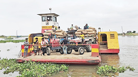 Haor-Boro-fetching-1.jpg